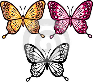 Butterfly Vector Illustration