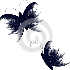 butterfly vector illustration