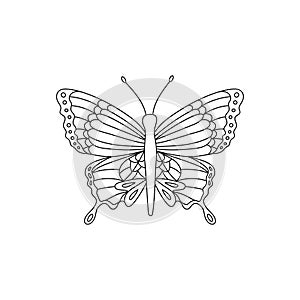 Butterfly vector illustration black outline insect