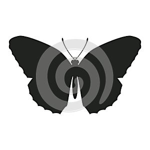 Butterfly vector illustration black silhouette front