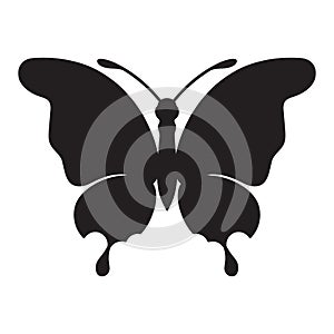 butterfly. Vector illustration decorative design