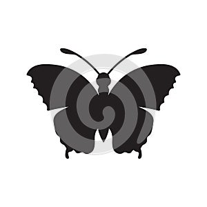 butterfly. Vector illustration decorative design