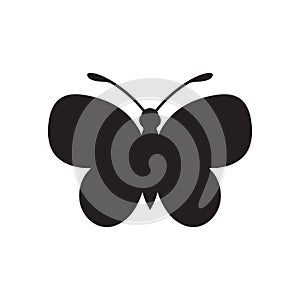 butterfly. Vector illustration decorative design