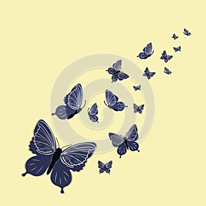 Butterfly vector illustration, Isolated cartoon set icon decorative insect