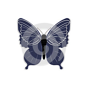 Butterfly vector illustration, Isolated cartoon set icon decorative insect
