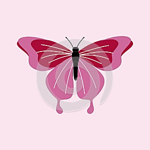 Butterfly vector illustration, Isolated cartoon set icon decorative insect