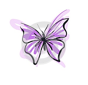 Butterfly vector illustration sketch decor