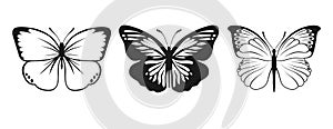 Butterfly Vector Silhouettes. Decorative Insect Collection. Winged Animals Illustration
