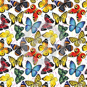 Butterfly watercolor seamless pattern