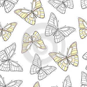 Butterfly on a white background. Vector set illustration. Insects art drawing. Seamless strawberry pattern for fabric design