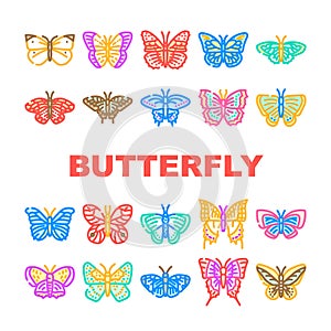 butterfly white nature icons set vector