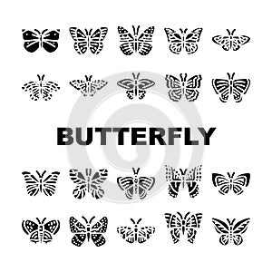 butterfly white nature icons set vector