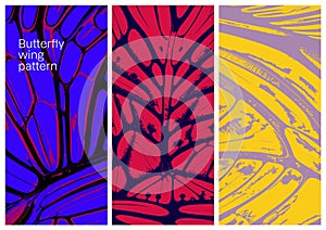 Butterfly wing abstract pattern collection.