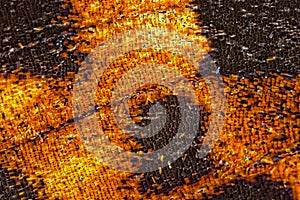 Butterfly wing super macro