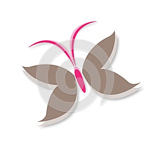 Butterfly Wings Logo Symbol in brown and pink