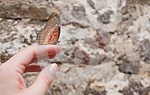 Butterfly on woman's hand