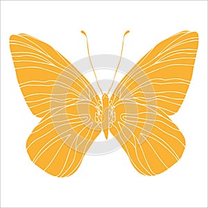 Butterfly yellow silhouette art illustration. Insect butterfly for stickers, tattoo, silhouette, scrapbook. Winged