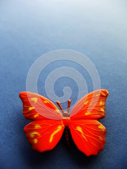 Butterfly1