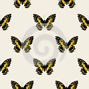 Butterfly groovie pattern
