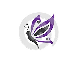 Butterflylogo design vector template