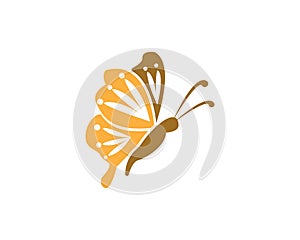 Butterflylogo design vector template