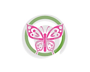 Butterflylogo design vector template