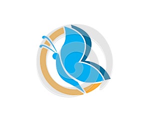 Butterflylogo design vector template