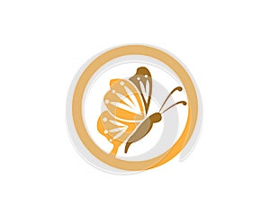 Butterflylogo design vector template