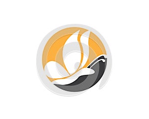 Butterflylogo design vector template