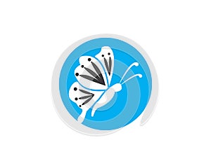 Butterflylogo design vector template
