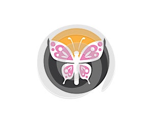 Butterflylogo design vector template