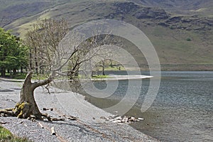 Buttermere, view of lake and fells