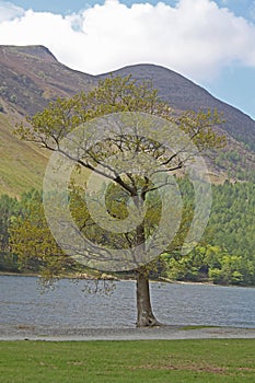 Buttermere, view of lake and fells