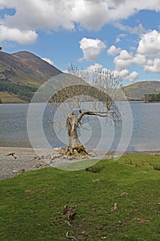 Buttermere, view of lake and fells