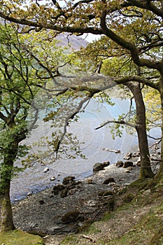 Buttermere, view of lake and fells