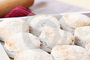 Buttermilk Biscuits