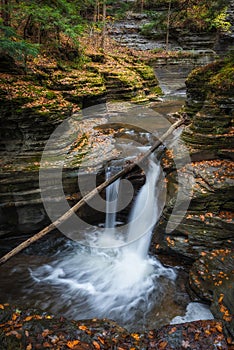 Buttermilk Falls in autumn