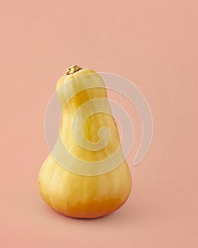 Butternut squash close up isolated on light pink-beige color background.