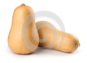 Butternut squash