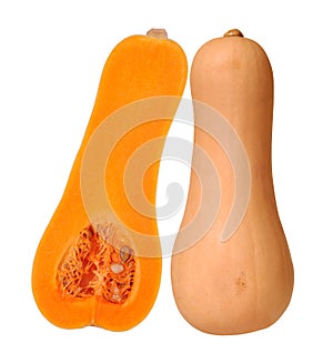 Butternut squash isolated