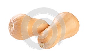 Butternut squash isolated on a white background