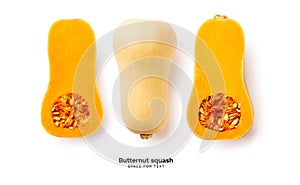 Butternut squash isolated on white background