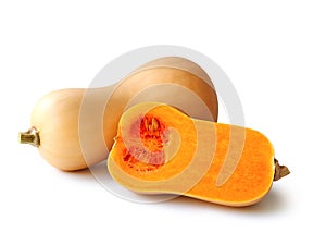 Butternut squash pumpkin isolated on white background