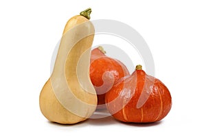 Butternut squash and `Red Kuri` squash, also called `Hokkaido` squash, on white background