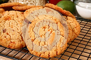 Buttery, Brittle, Candy Chip Cookies photo