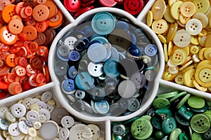 Button Bouquet