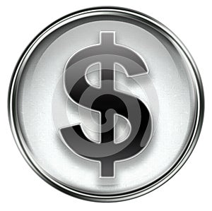 Button dollar icon grey