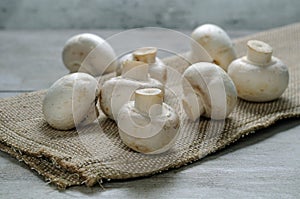 Button mushroom, white mushroom, common mushroom, champignon mushroom,baby bella photo