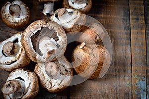 Button mushrooms on old wood