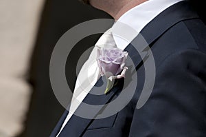 Buttonhole flowers